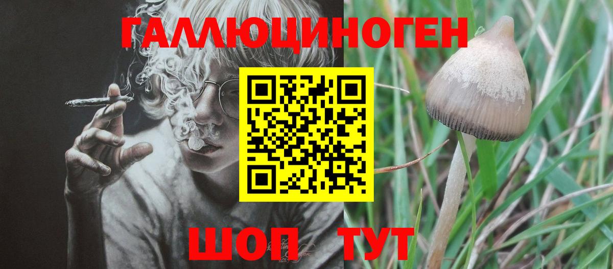 Москва  Галлюциногенные грибы Psilocybe  Вход с VPN 